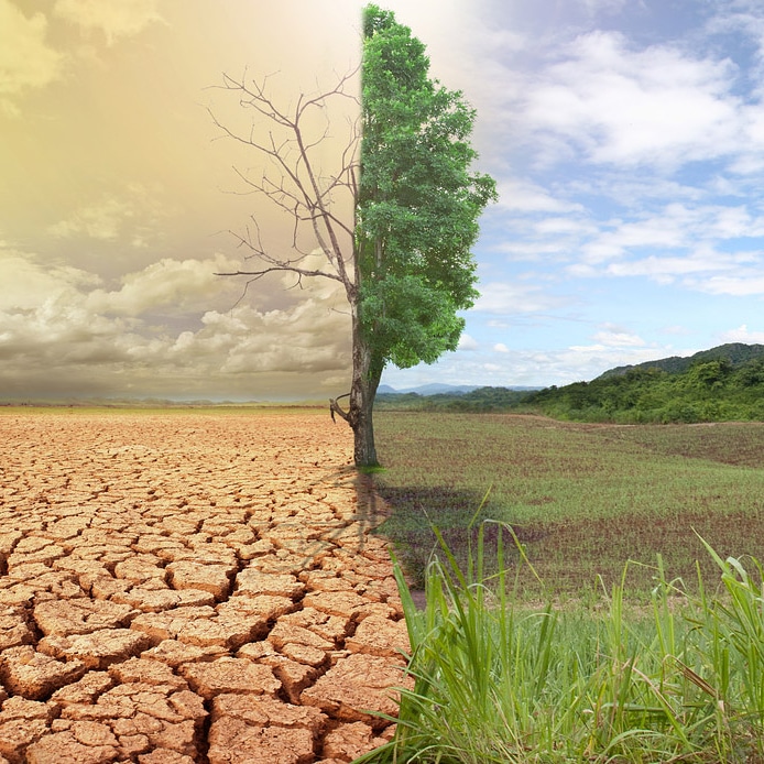 Il fenomeno della desertificazione