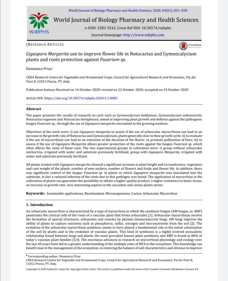 Cactus and succulent research: Gigaspora Margarita use to improve flower life in Notocactus and Gymnocalycium plants and roots protection against Fusarium&nbsp;sp.