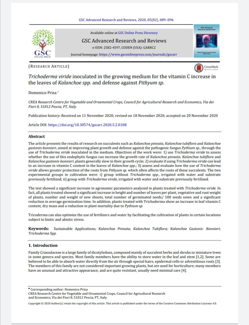 Research:Trichoderma viride inoculated in the growing medium for the vitamin C increase in the leaves of Kalanchoe spp. and defense against Pithyum&nbsp;sp.