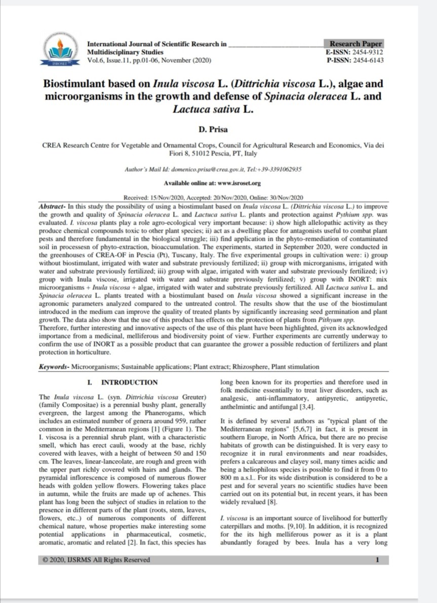 Ricerca: Uso di un biostimolante a base di Inula viscosa, microrganismi e alghe nella crescita e difesa di Spinacio e&nbsp;Lattuga
