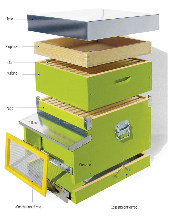 Le tipologie di&nbsp;arnia