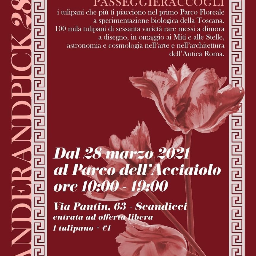 Wander e Pick il giardino dei 300 mila tulipani e narcisi ripartirà il 28&nbsp;Marzo