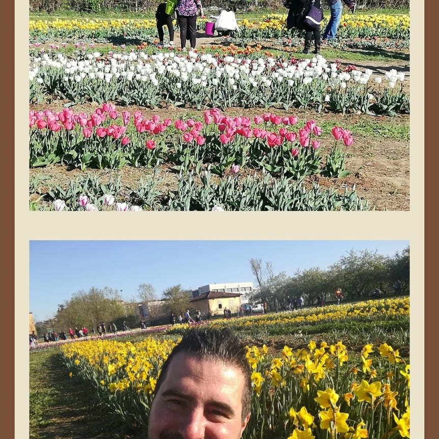 Wander & Pick&nbsp;project