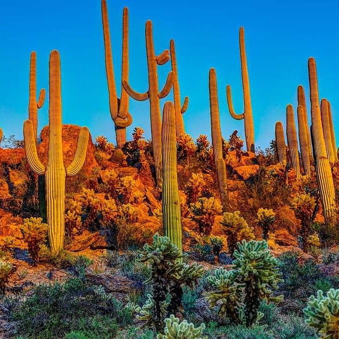 IUCN Species Survival Commission&nbsp;(SSC)