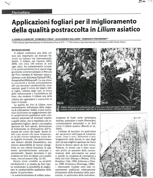 Applicazioni fogliari per il miglioramento della qualità post-raccolta in Lilium&nbsp;asiatico