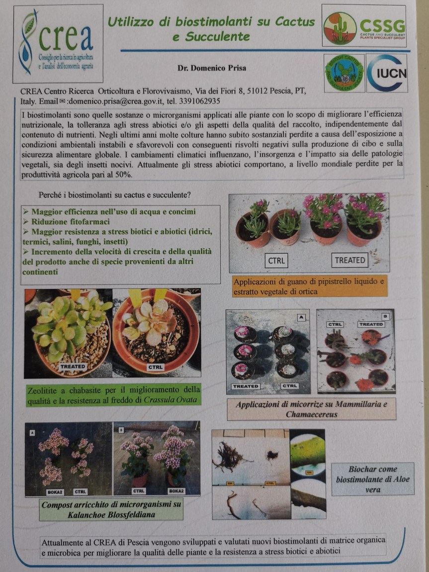 Utilizzo di biostimolanti su Cactus e&nbsp;Succulente