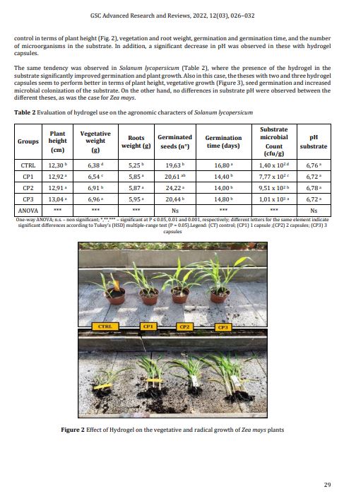 Hydrogel application in the germination and growth of Zea mays and Solanum lycopersicum seedlings. 
