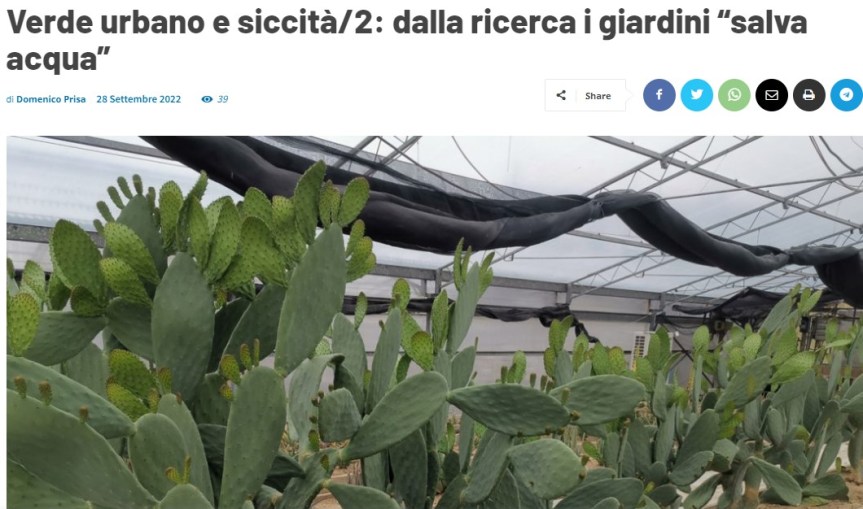 Verde urbano e siccità/2: dalla ricerca i giardini “salva acqua”  