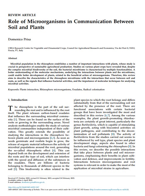 Role of microorganisms in communication between soil and&nbsp;plants