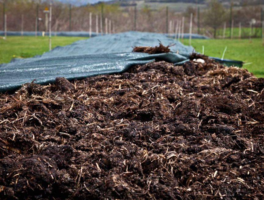 Produzione di microrganismi dall’humus di lombrico e di&nbsp;insetti