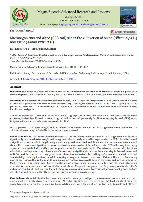 Microorganisms and algae (GEA soil) use in the cultivation of onion (Allium cepa L.)and garlic (Allium sativum&nbsp;L.)
