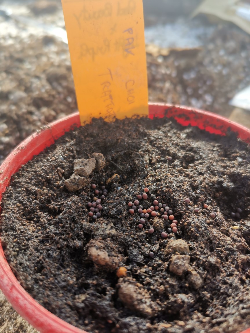 Progetto PakFertiltomix in collaborazione con&nbsp;Waterdust