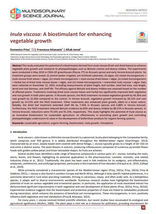 Inula viscosa: A biostimulant for enhancing vegetable&nbsp;growth