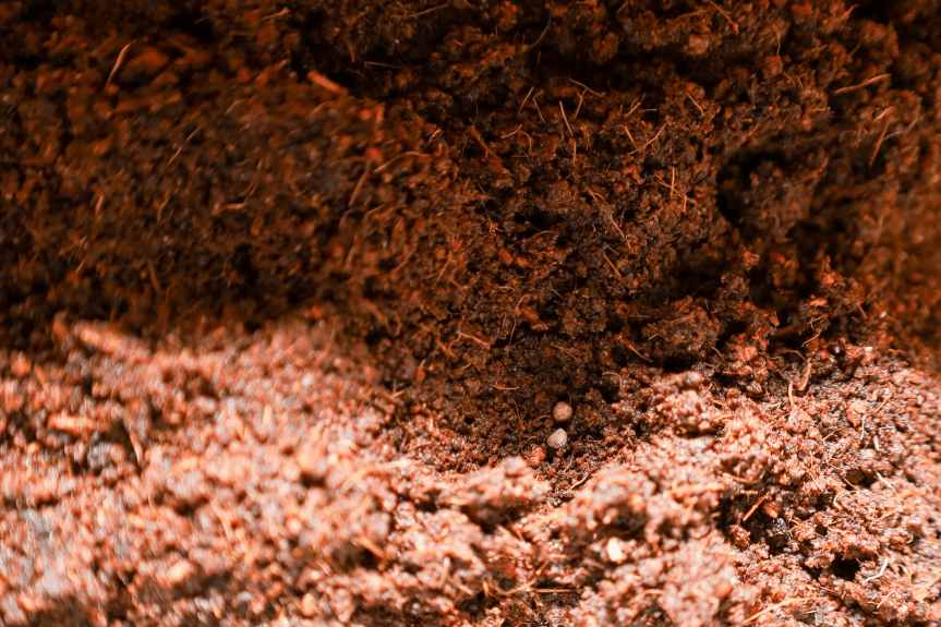 🌑 Il biochar: cos’è e come utilizzarlo nelle&nbsp;piante