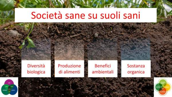 🦠 Come i Microrganismi Effettivi riducono l’incidenza delle malattie delle&nbsp;piante