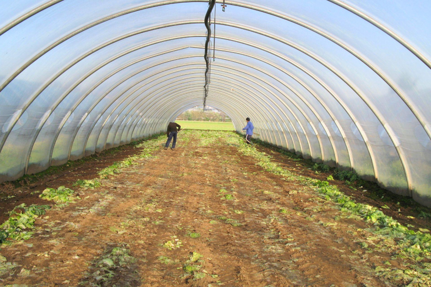 🌍 Come favorire i microrganismi del&nbsp;suolo