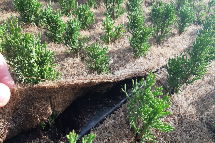🌍 Il primo passo per un orto sano: migliorare il suolo prima di&nbsp;tutto