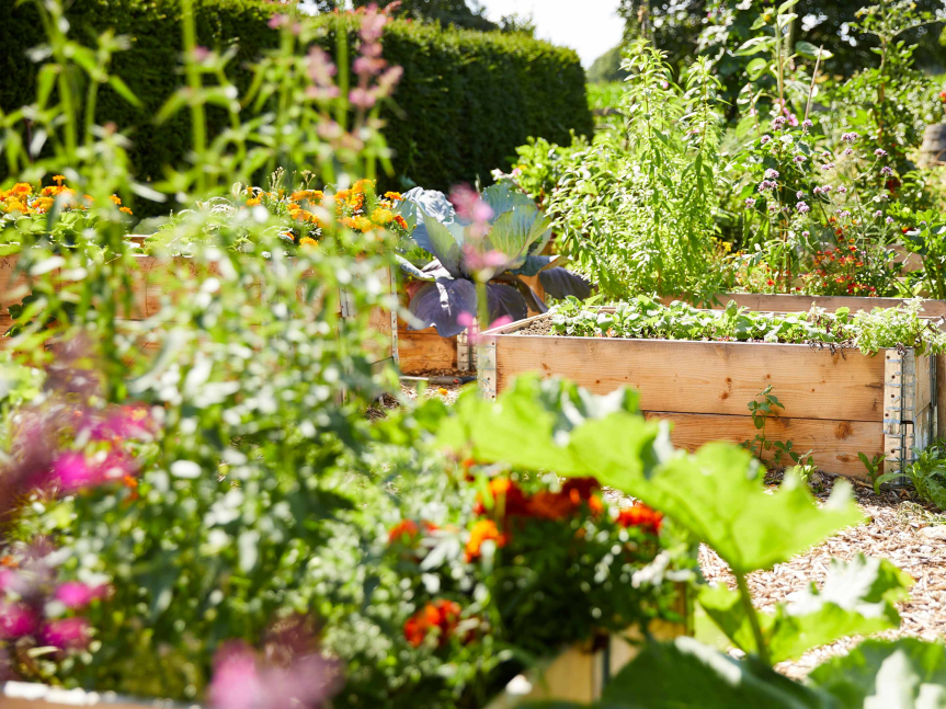 Come organizzare l’orto per tutto l’anno (semina scalare e colture&nbsp;mix)