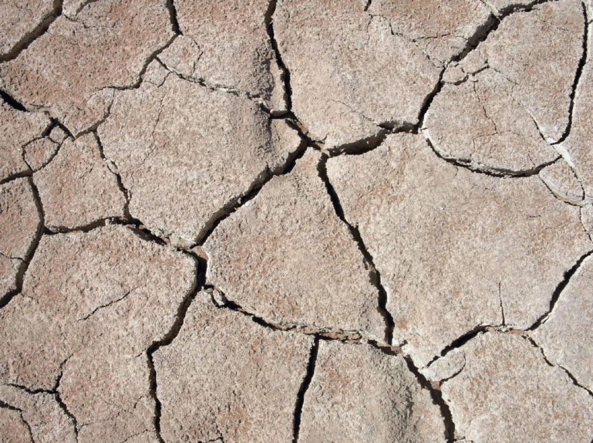 🌍 Come capire se il suolo è povero e come&nbsp;rigenerarlo