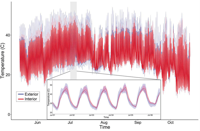 🌡️ La temperatura ideale nella coltivazione dei cactus: guida&nbsp;completa