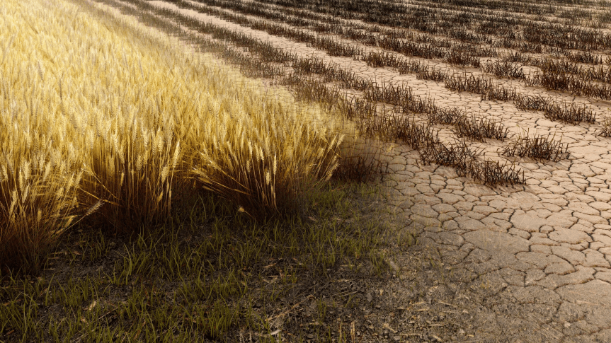 Se il suolo è stanco, nessuna pianta può essere&nbsp;forte