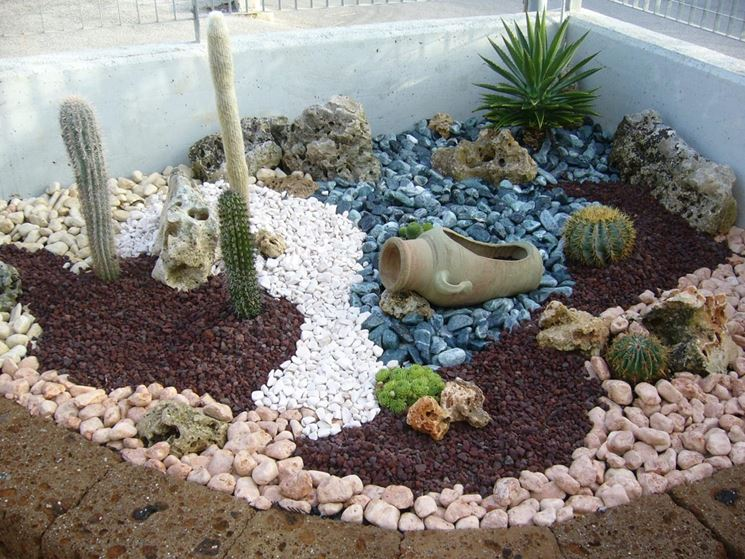 Substrati alternativi alla torba per cactus e succulente&nbsp;🌵🌱