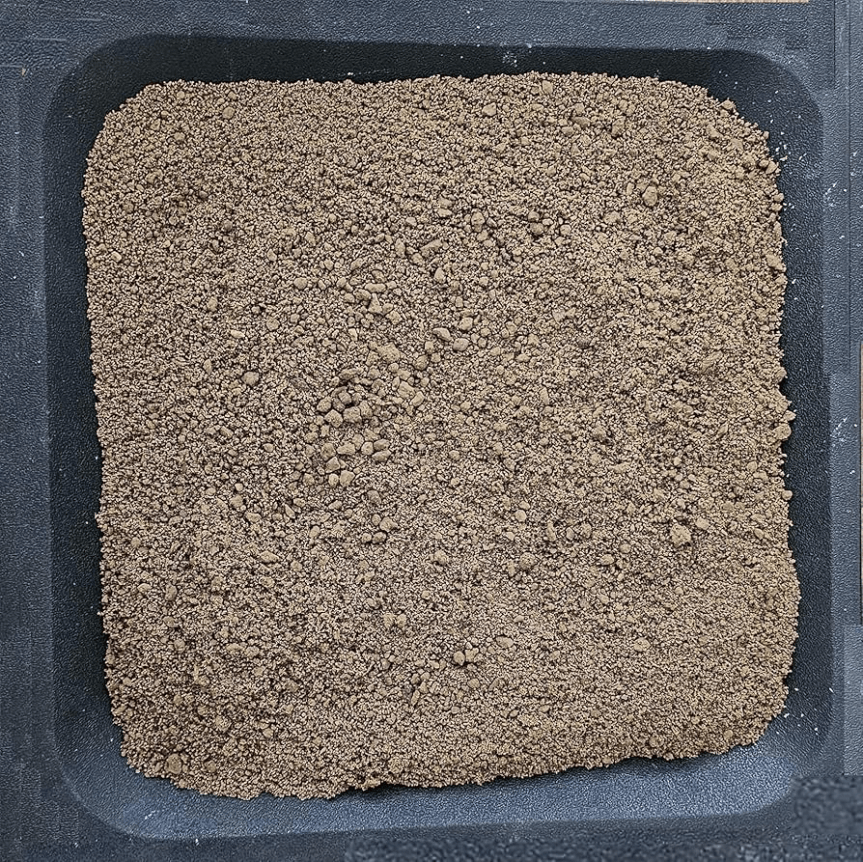 Substrati innovativi per cactus e succulente: oltre il terriccio tradizionale&nbsp;🌵🧪