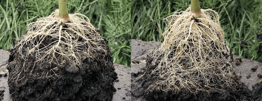 Produrre di più usando meno: si può, se capisci il sistema&nbsp;🌱⚙️