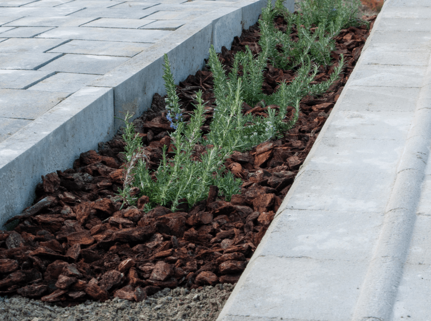 La pacciamatura: qual è la migliore da utilizzare davvero&nbsp;🌱🪵