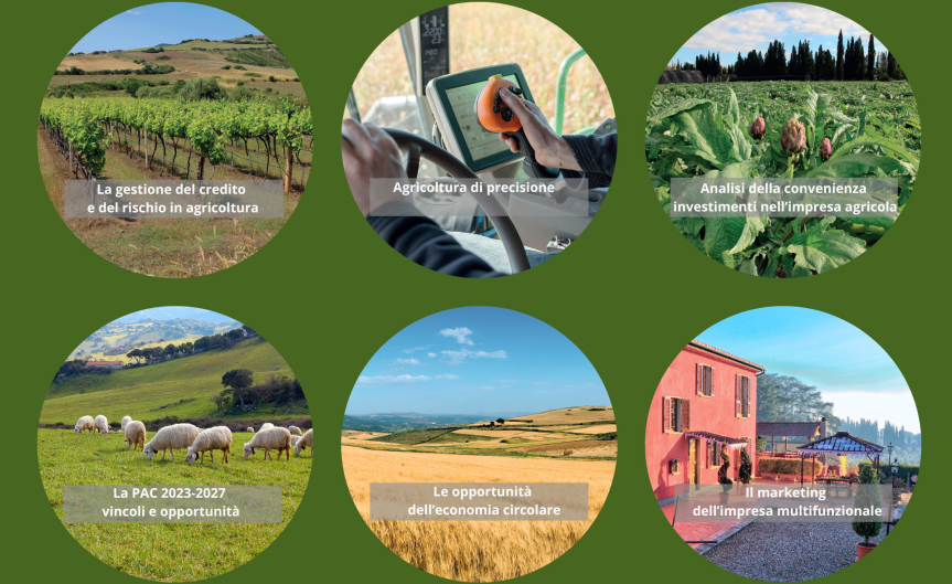 Nuovi approcci di coltivazione sostenibile: produrre meglio, non solo di più&nbsp;🌱♻️