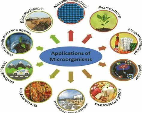 I microrganismi EM e le loro applicazioni:alleati invisibili per suolo e&nbsp;piante