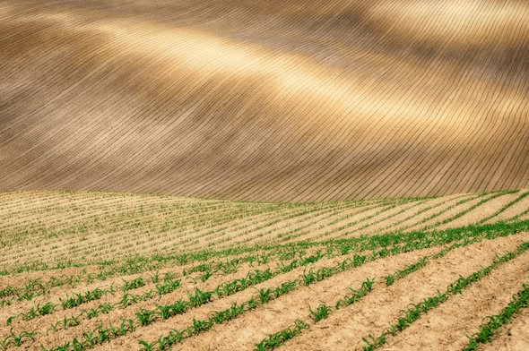L’agricoltura non deve combattere la natura, deve&nbsp;comprenderla