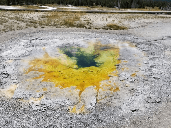 Adattamento dei microrganismi agli ambienti estremi: la vita oltre i&nbsp;limiti