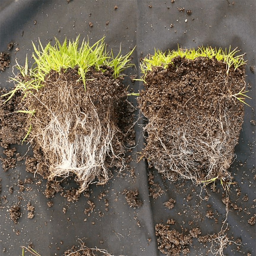 🌱 La sostenibilità non è un compromesso, è una&nbsp;strategia